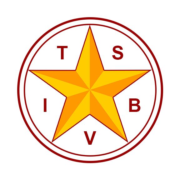 Texas School for the Blind and Visually Impaired logo